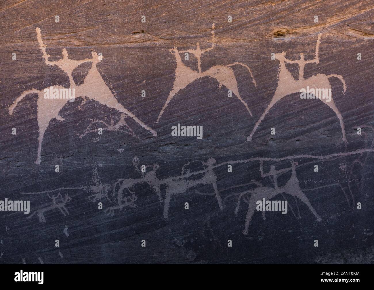 Pétroglyphes sur un rocher représentant des hommes chassant sur les chevaux, Province de Najran, Minshaf, l'Arabie Saoudite Banque D'Images