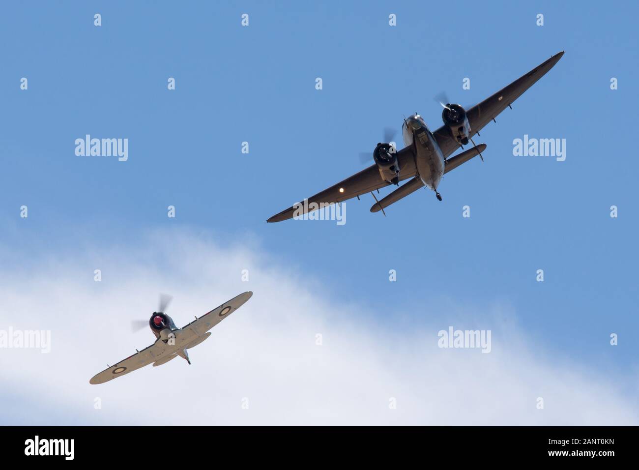 Bimoteur Lockheed Hudson bombardier léger et avion de reconnaissance côtière volant en formation avec Commonwealth Aircraft Corporation figh Boomerang Banque D'Images