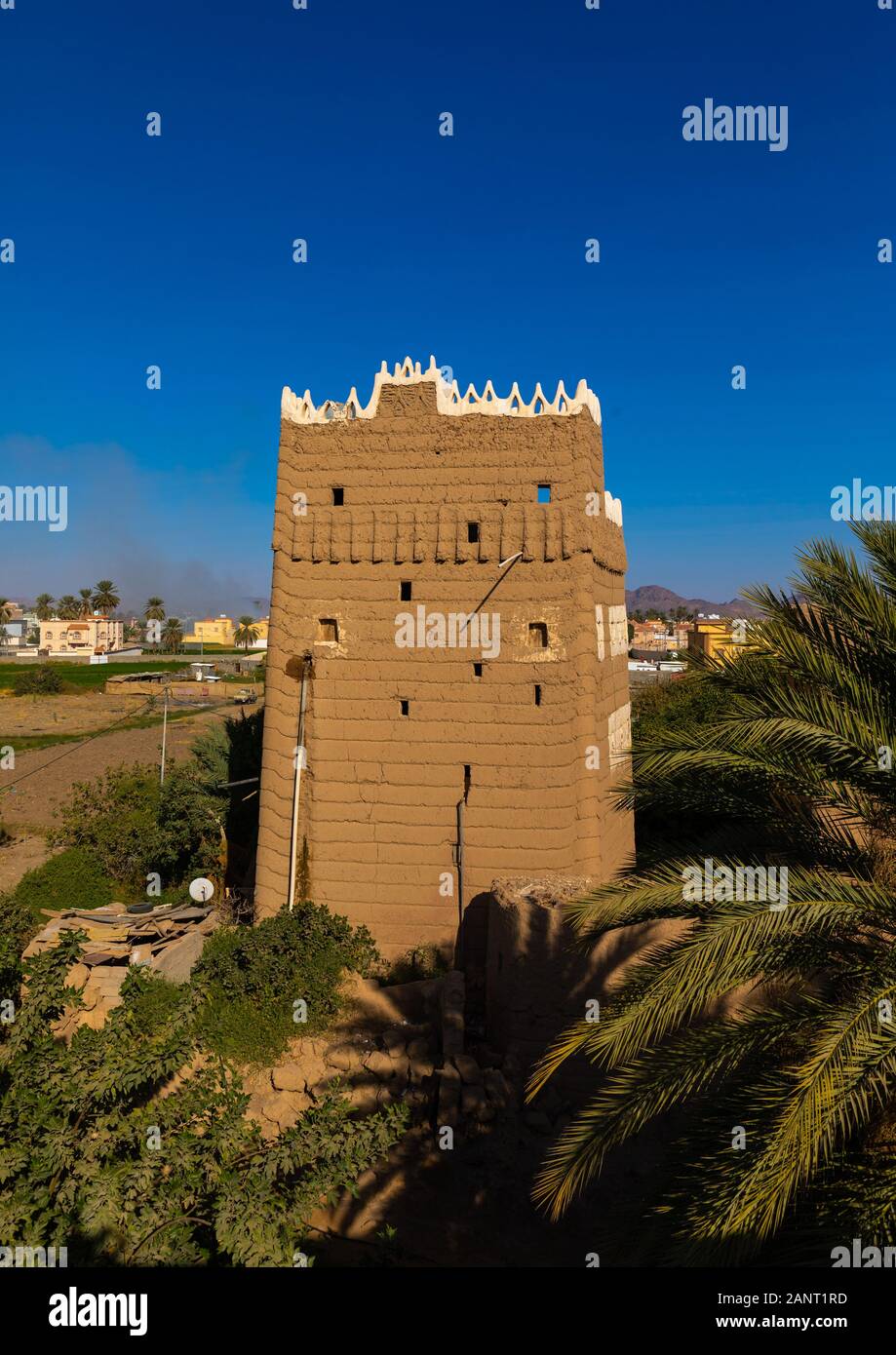 Ancienne maison de terre au milieu de plam arbres, Province de Najran, Najran, Arabie Saoudite Banque D'Images