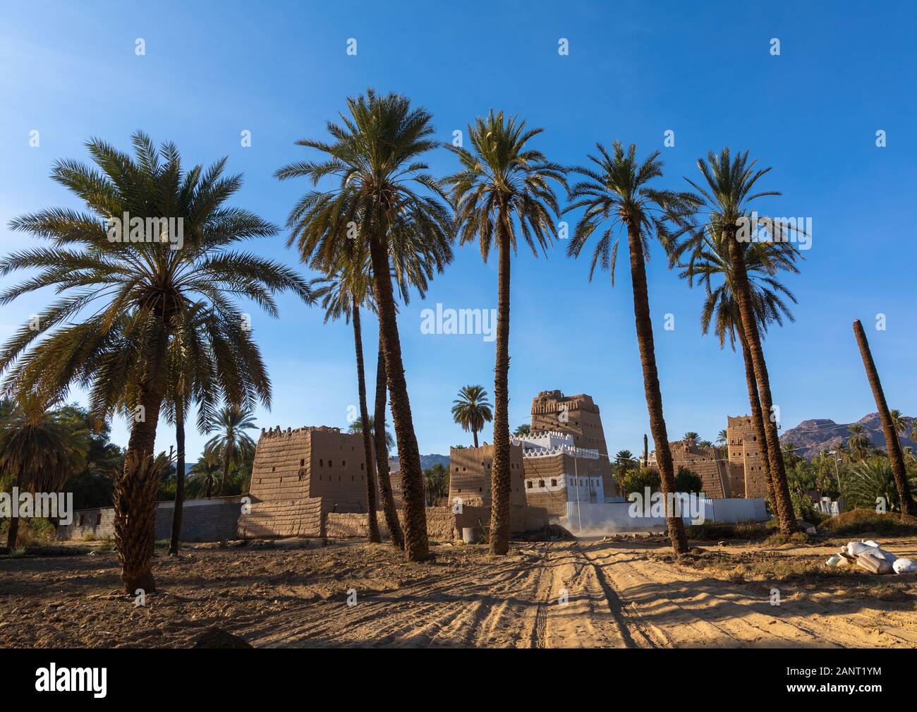 Ancienne maison de terre au milieu de plam arbres, Province de Najran, Najran, Arabie Saoudite Banque D'Images