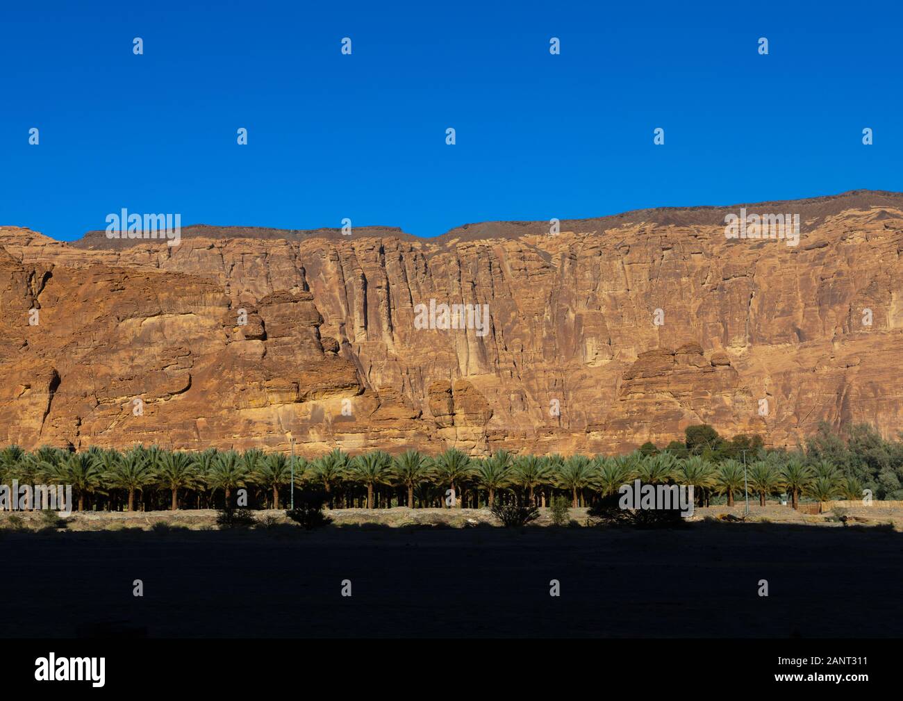Les montagnes et les palmiers du Wadi al-Qura, Al Madinah Province, alula, l'Arabie Saoudite Banque D'Images