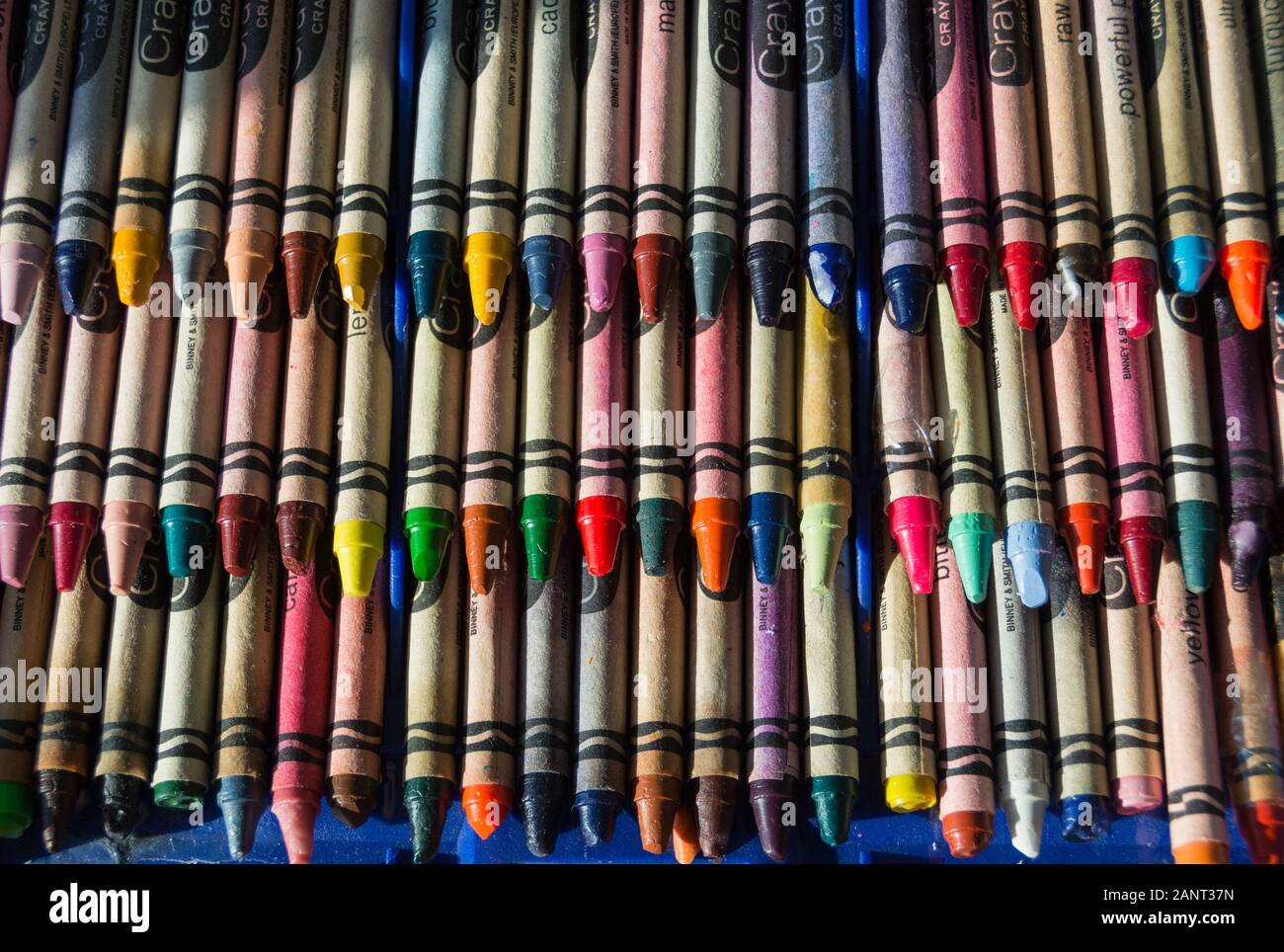 Les crayons de cire Crayola colorés Banque D'Images