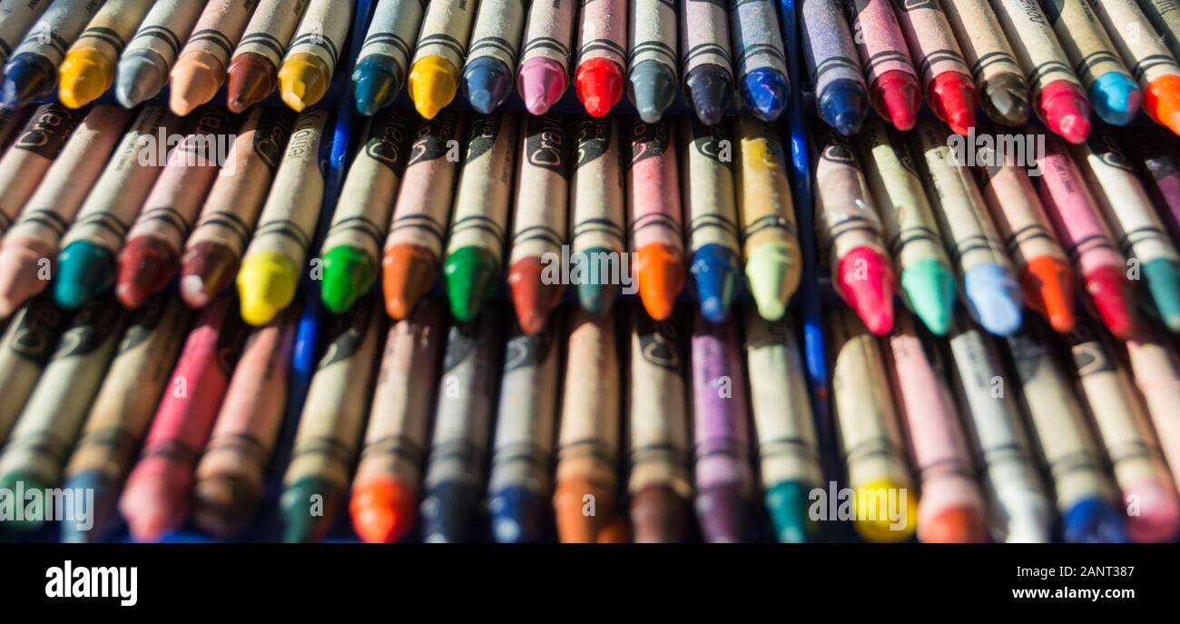 Les crayons de cire Crayola colorés Banque D'Images