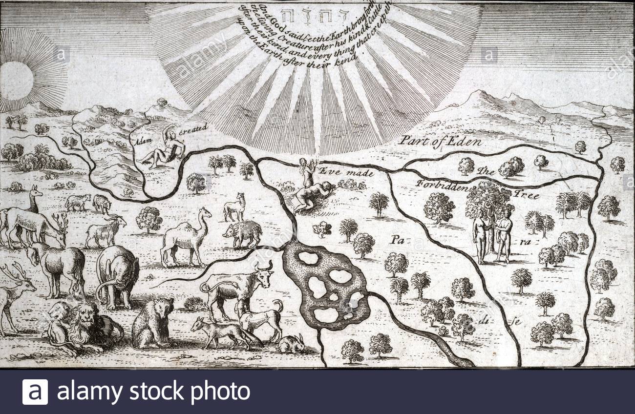 Création de l'homme et de la bête, par une gravure graveur Wenceslaus Hollar Bohème à partir de 1600 Banque D'Images