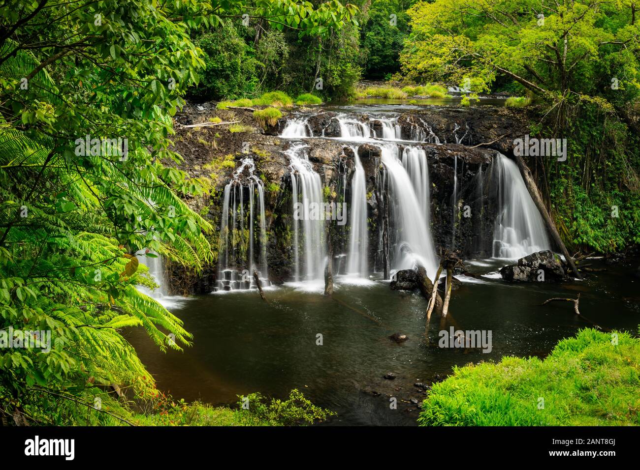 Les chutes de Wallacher dans les tropiques humides du Queensland. Banque D'Images