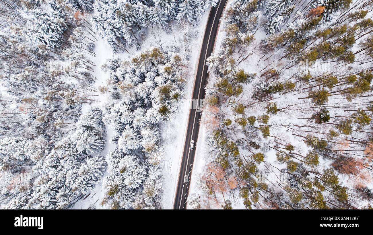 Location de voiture à travers la forêt enneigée en hiver, de haut en bas Vue aérienne. Banque D'Images