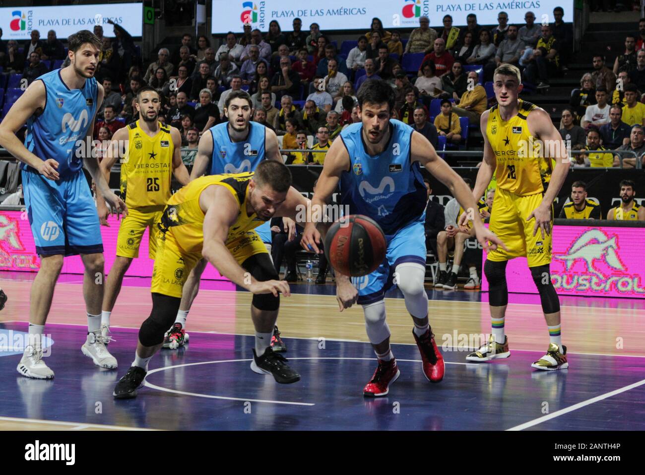 Georgios Bogris (Tenerife) et Duje Doukan (Estudiantes) en action lors du  18e match de la Liga ACB Basketball Endesa, célébré à la Pabellón Santiago  Martín à San Cristobal de La Laguna (Tenerife -
