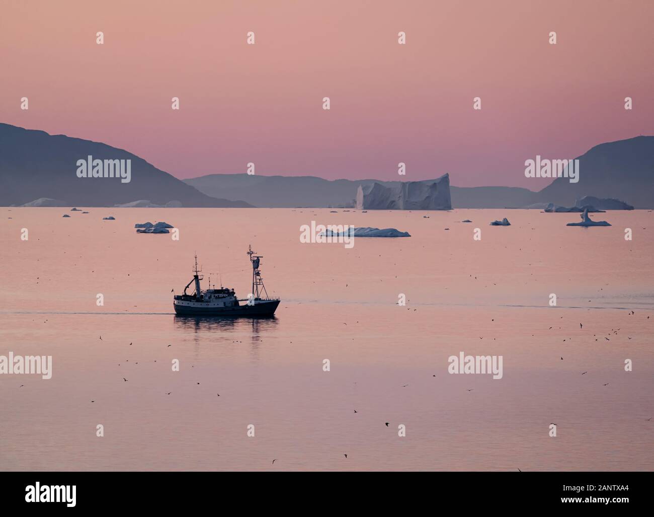 Chalutier poisson parmi d'énormes icebergs au cours de soleil de minuit avec le coucher et le lever du soleil sur l'horizon. Bateau de pêcheur dans l'eau de l'océan Arctique. Photo taken in Greenla Banque D'Images