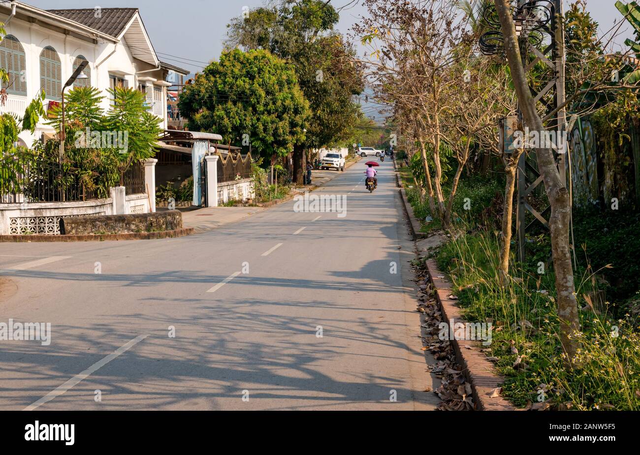 Man riding scooter holding parasol unbrella, Luang Prabang, Laos, Asie du sud-est Banque D'Images