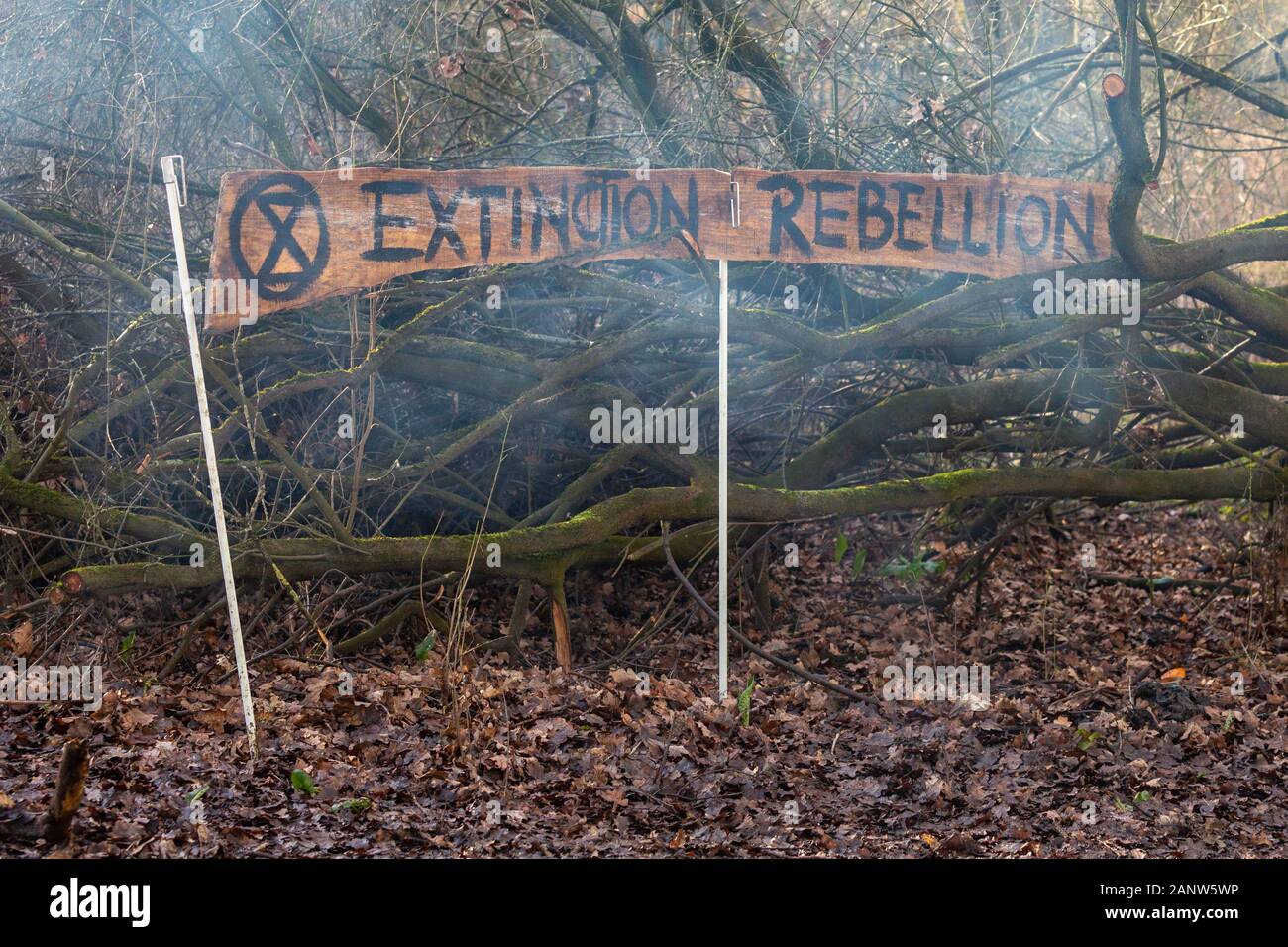 Au Harefield, UK. 19 Jan, 2020. Les conservationnistes, les manifestants et les environnementalistes défient l'injonction de la Haute Cour et rester sur le site pour tenter d'arrêter le HS2 et la perte de forêts anciennes. Penelope Barritt/Alamy Live News Banque D'Images