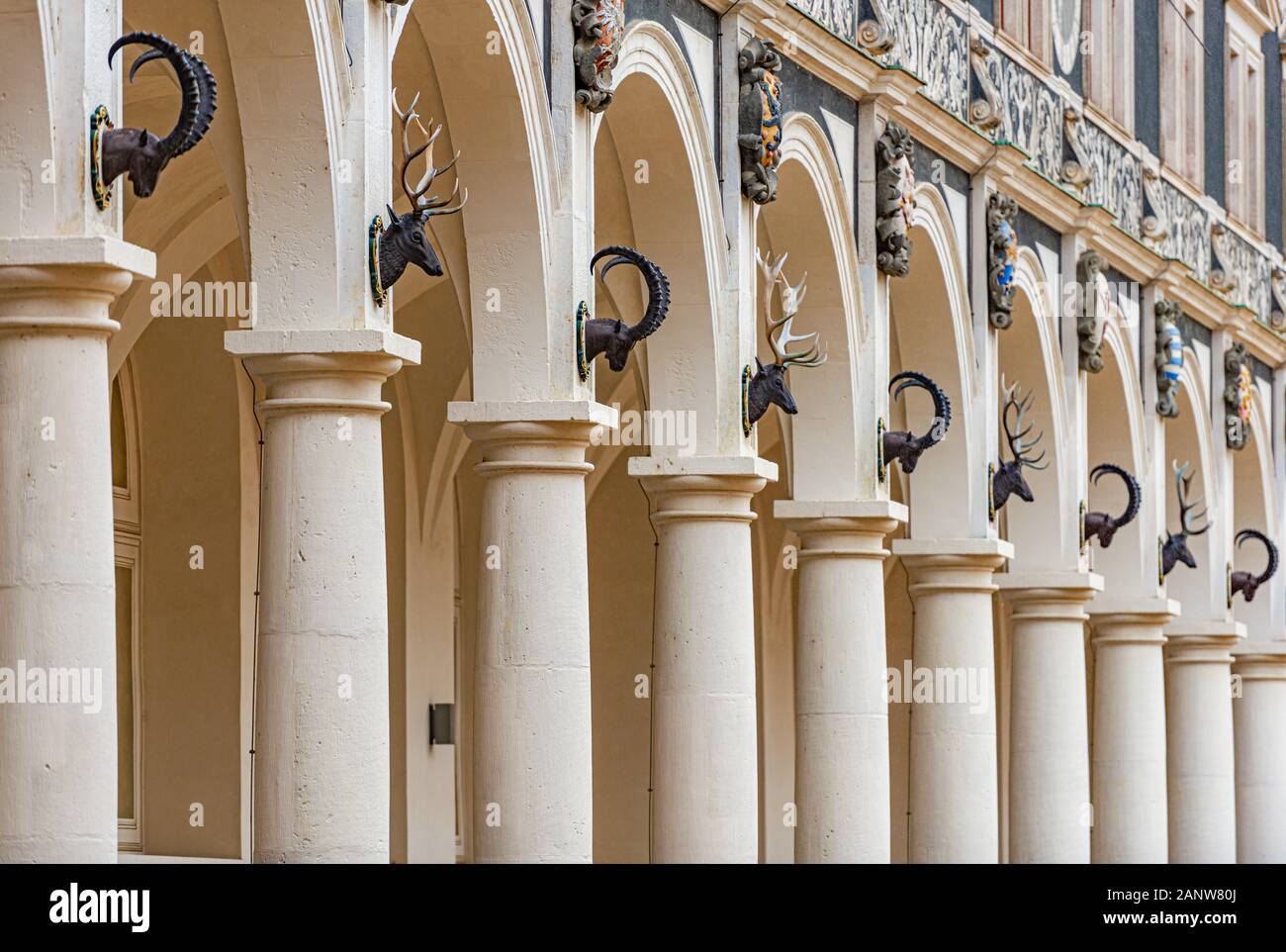 Immeuble ancien avec colonnes de Dresde, Allemagne. Des têtes d'animaux sur le dessus. Banque D'Images