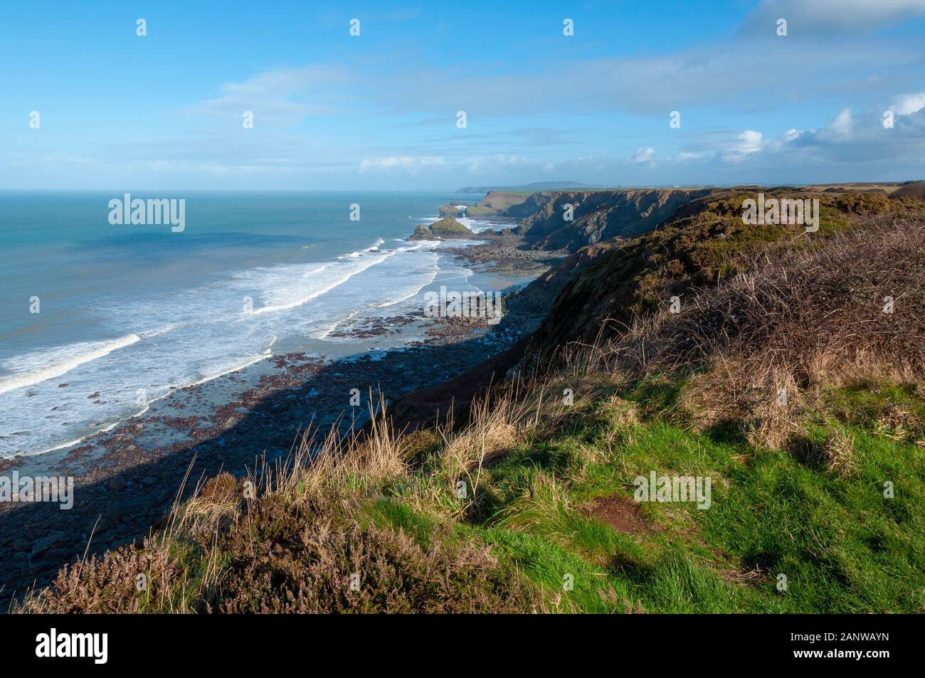 Paysage côtier sur la côte nord de Cornwall England UK Banque D'Images