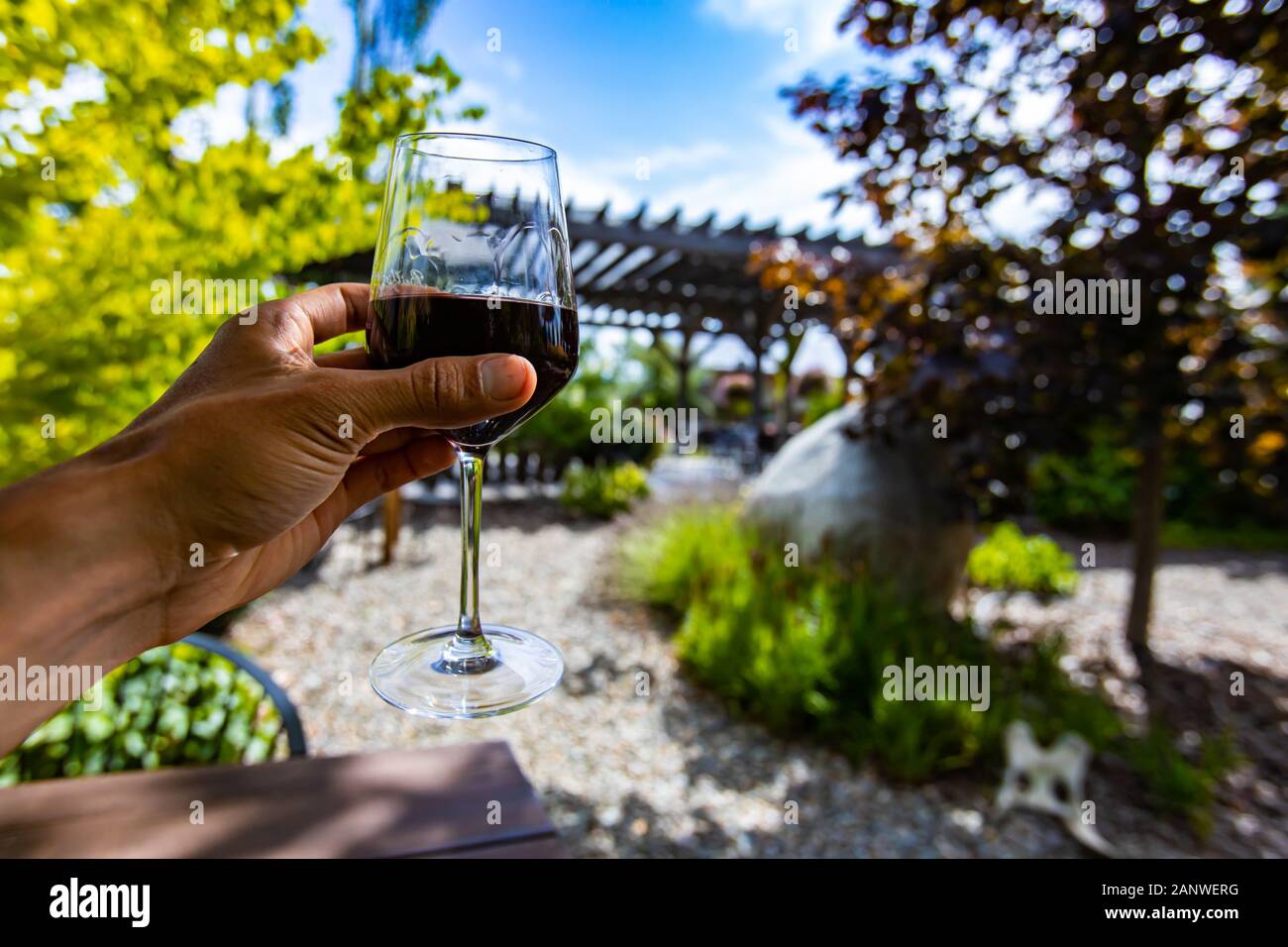 Main tenant un verre de vin rouge sur une mise au point sélective, une dégustation de vin winery concept background, belle journée ensoleillée Banque D'Images