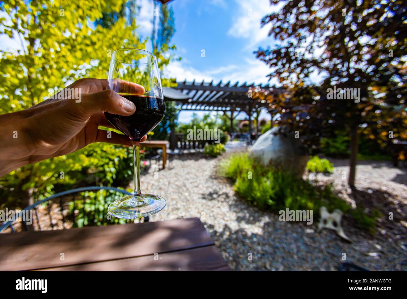Main tenant un verre de vin rouge dans la mise au point sélective contre outdoor patio winery dégustation fond concept, au cours d'une belle journée ensoleillée Banque D'Images
