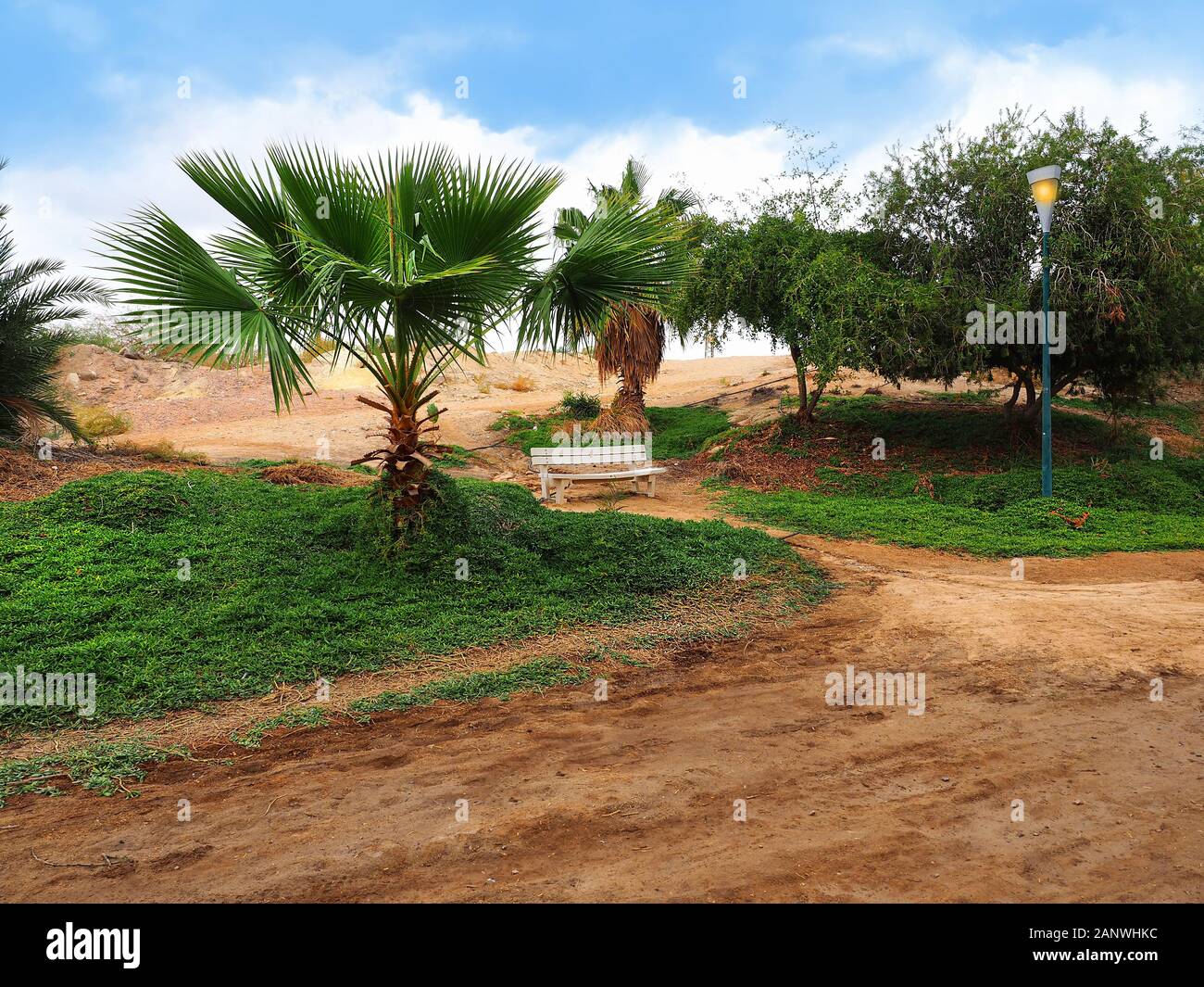 Banc blanc dans un parc tropical Sapir. Parc Sapir israélien, c'est la vie dans un paysage désertique. Banque D'Images