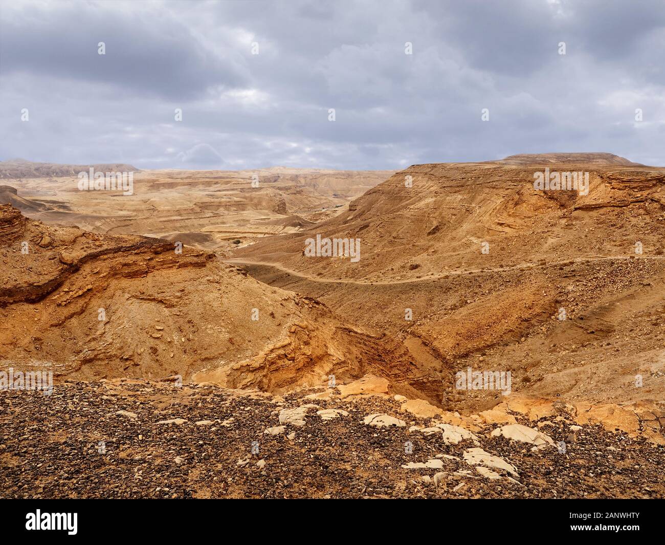 Vue supérieure du désert, montagnes d'Israël. Région de la Mer Morte. Banque D'Images