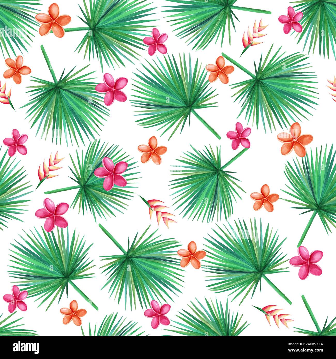 Feuilles de palmier vert aquarelle sur fond blanc. Orchid, Plumeria, Heliconia Fleurs. Modèle sans couture. Illustration à la main. Banque D'Images
