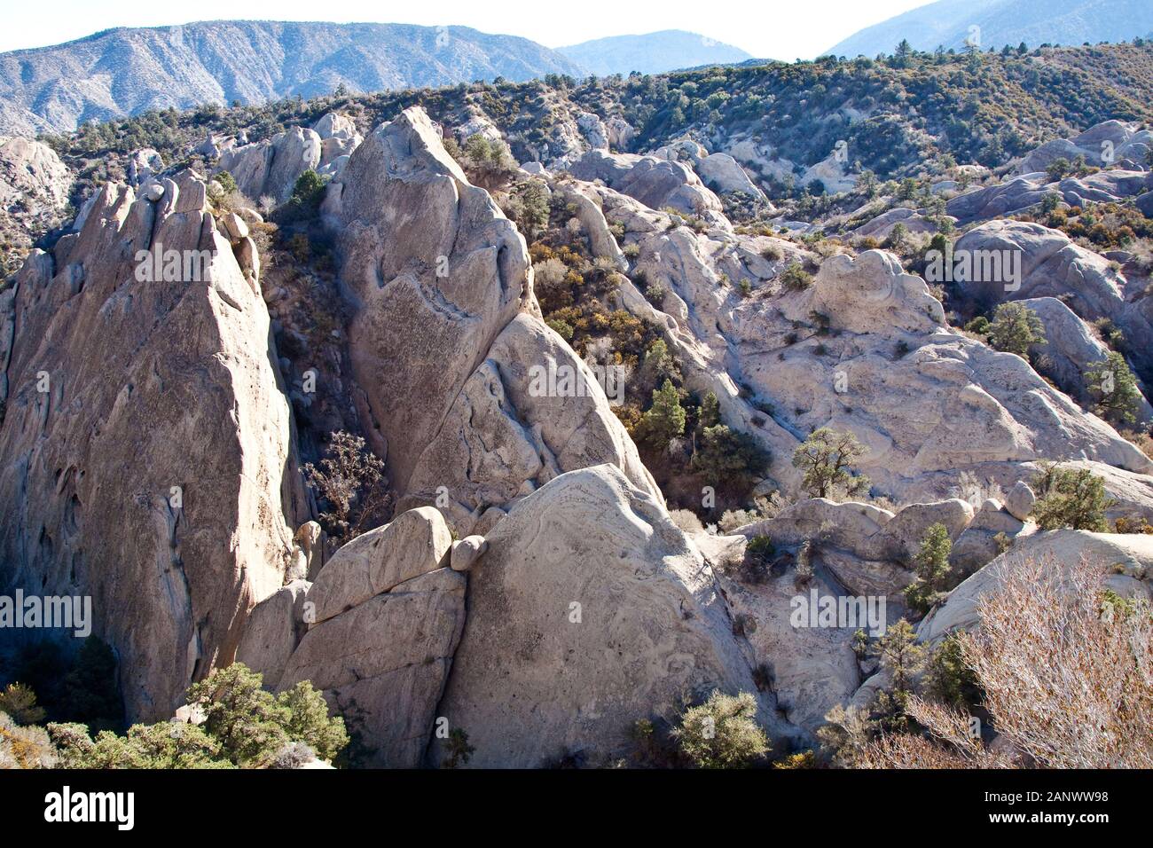 Uptilted rock formation, Devils Punchbowl Natural Area, Los Angeles County, California USA Banque D'Images