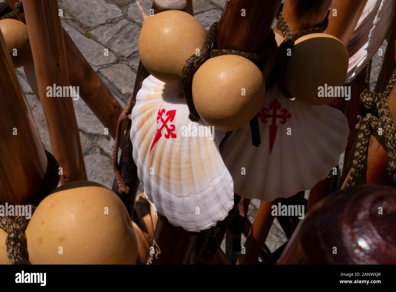 Coquilles de palourdes décorer de bâtons de marche traditionnel en vente à Santiago de Compostela Galice, Espagne Banque D'Images