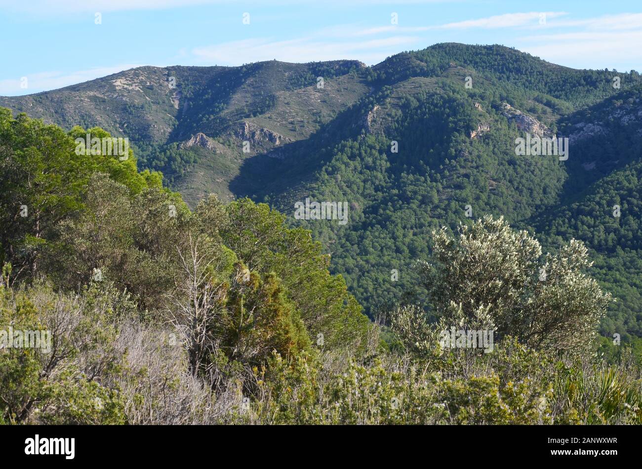 Vue panoramique sur la chaîne de montagnes de l’Irta (parc naturel de la Serra d’Irta) dans la région de Valence (est de l’Espagne) Banque D'Images