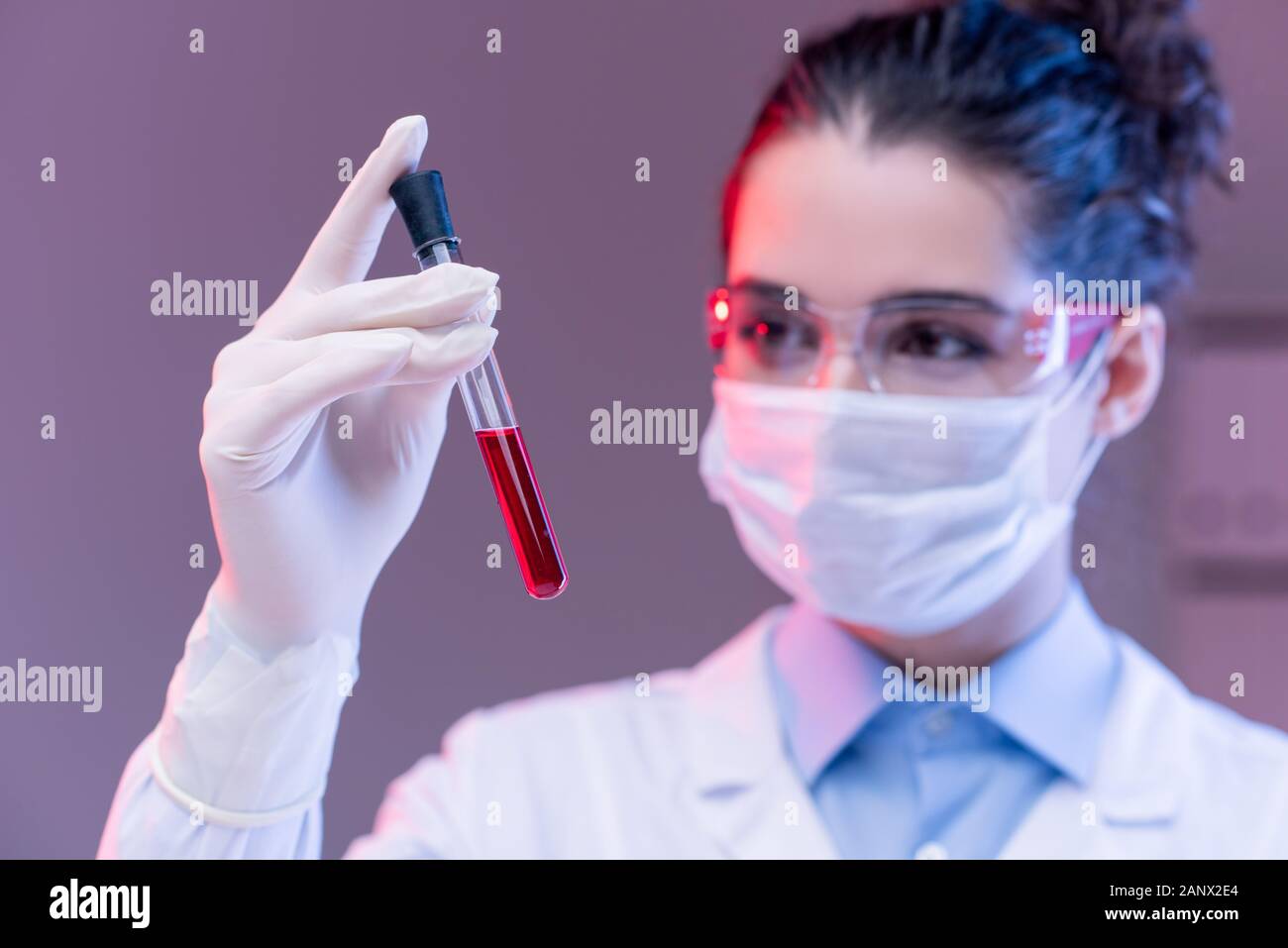 Young female scientist looking at red matière liquide dans le ballon in laboratory Banque D'Images