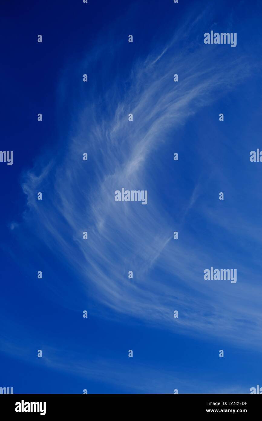 Cirrus blanc brillant à la lumière du ciel bleu, cadre vertical. Banque D'Images