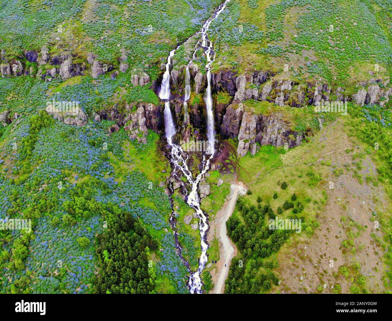 Vue aérienne de la plus haute cascade près de Seydisfjordur, Islande, en été Banque D'Images