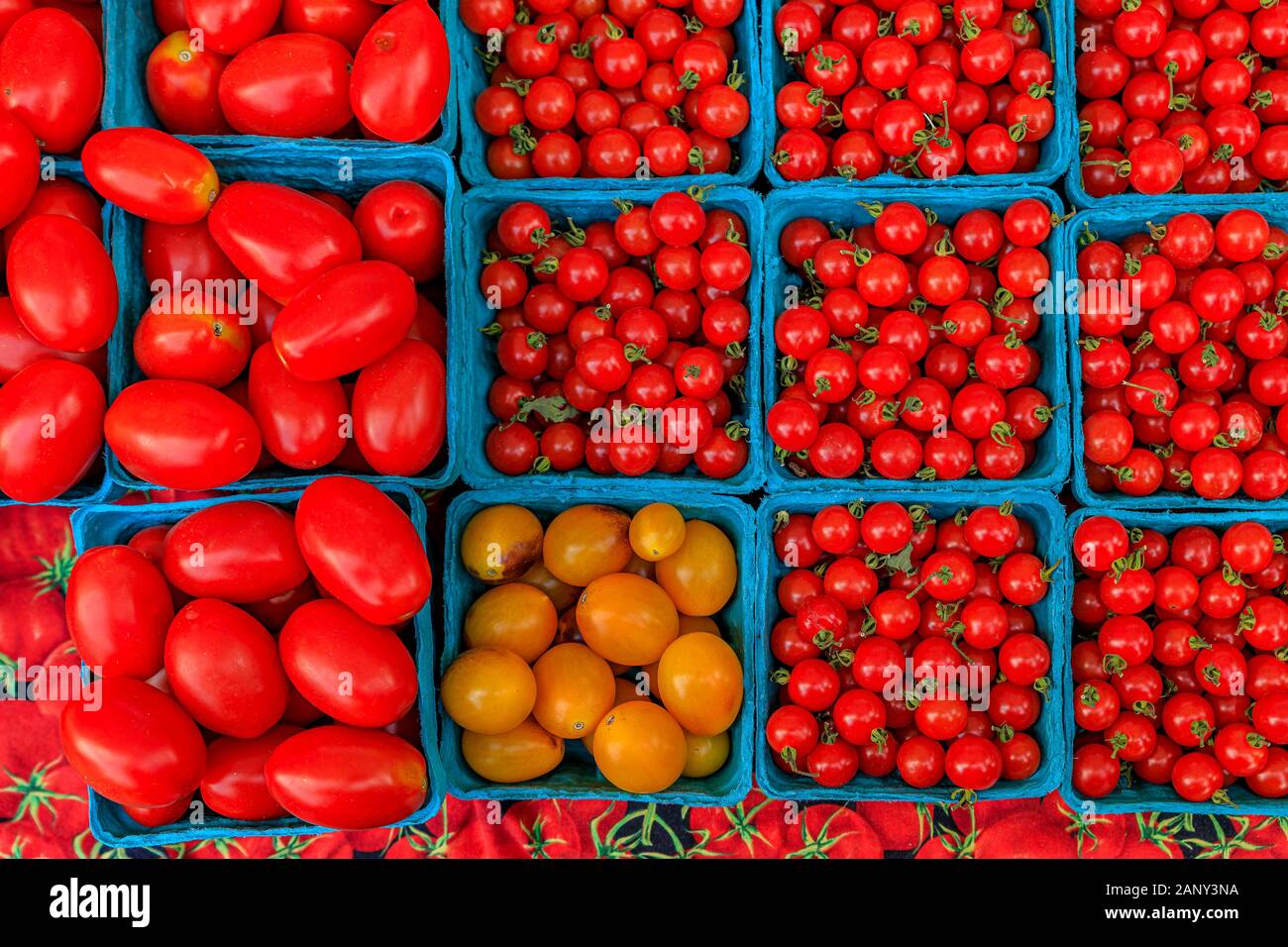 Sélection de vignes mûries et tomates cerises jaunes et à un étal dans un marché de producteurs à l'extérieur de Manhattan, New York, USA Banque D'Images