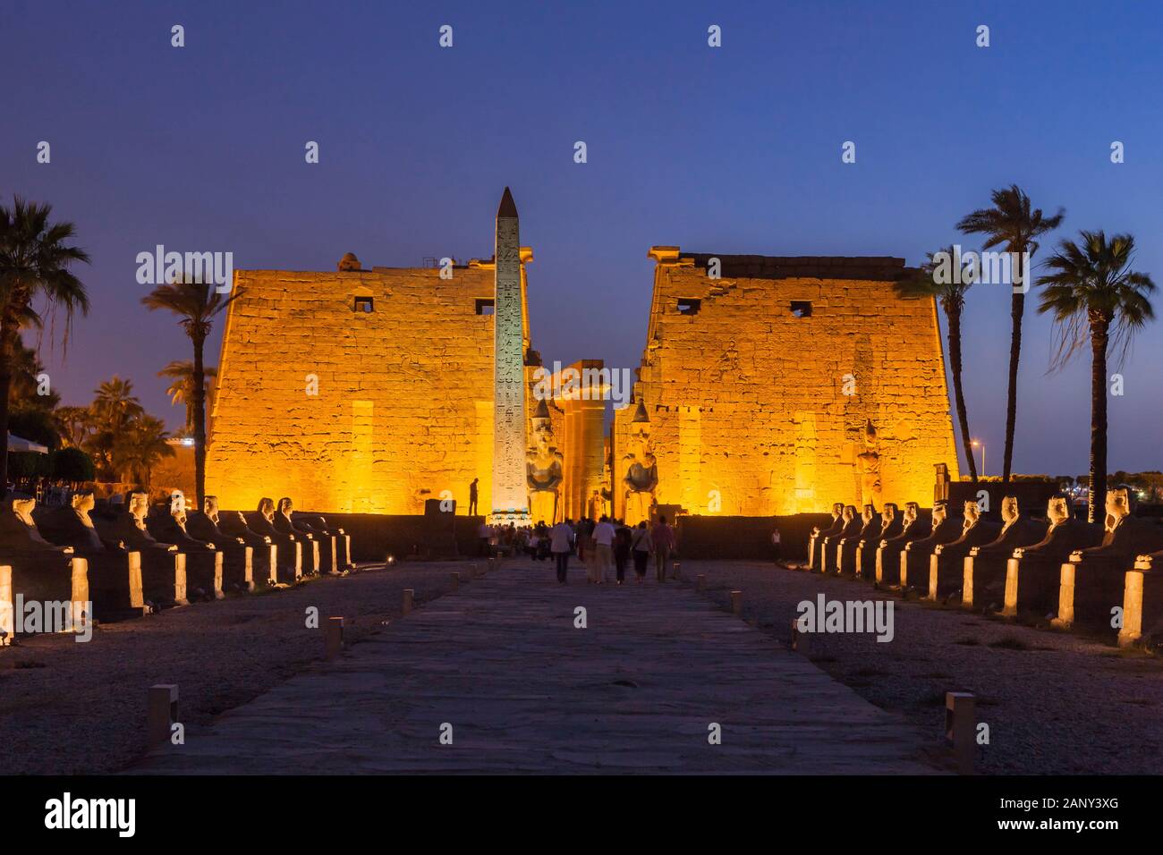 Éclairage sur la première avenue phylon et sphinxes en soirée crépuscule, Temple Louxor, Louxor, Egypte, Afrique du Nord, Afrique Banque D'Images