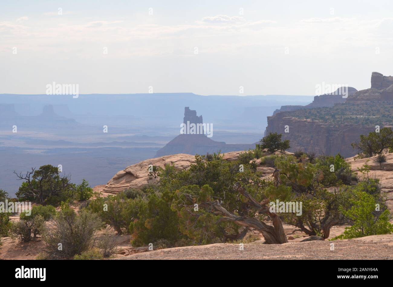 Début de l'été en Utah : la tour du chandelier Vue De Près de la rivière verte Donne sur l'île dans le Sky District du parc national de Canyonlands Banque D'Images