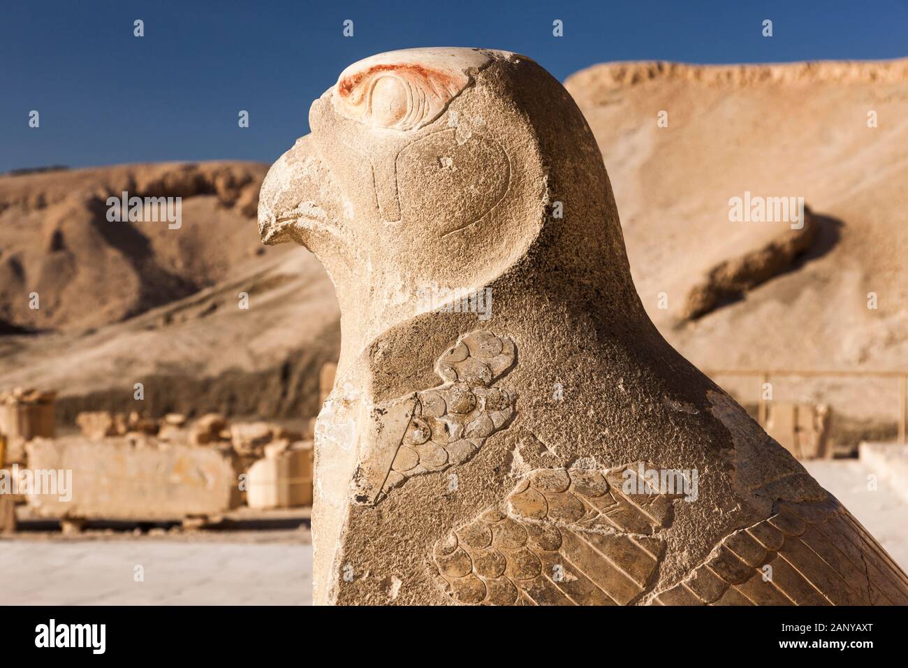 Statue de Falcon sur la pente d'entrée, temple mortuaire de Hatshepsut, temple de Hatshepsut, Djeser-Djeseru, Louxor, Egypte, Afrique du Nord, Afrique Banque D'Images