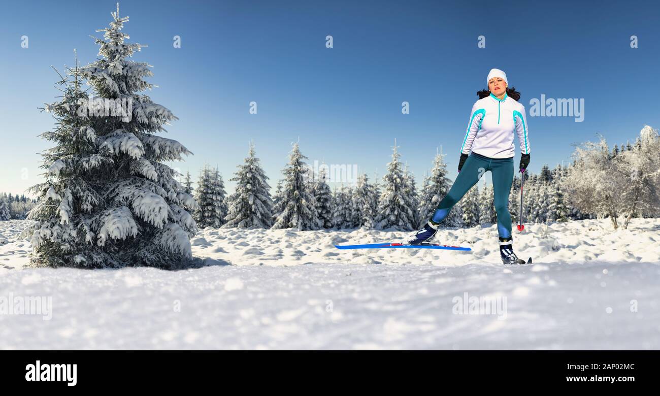Une femme à ski de fond ou ski de tournant dans la forêt d'hiver Banque D'Images