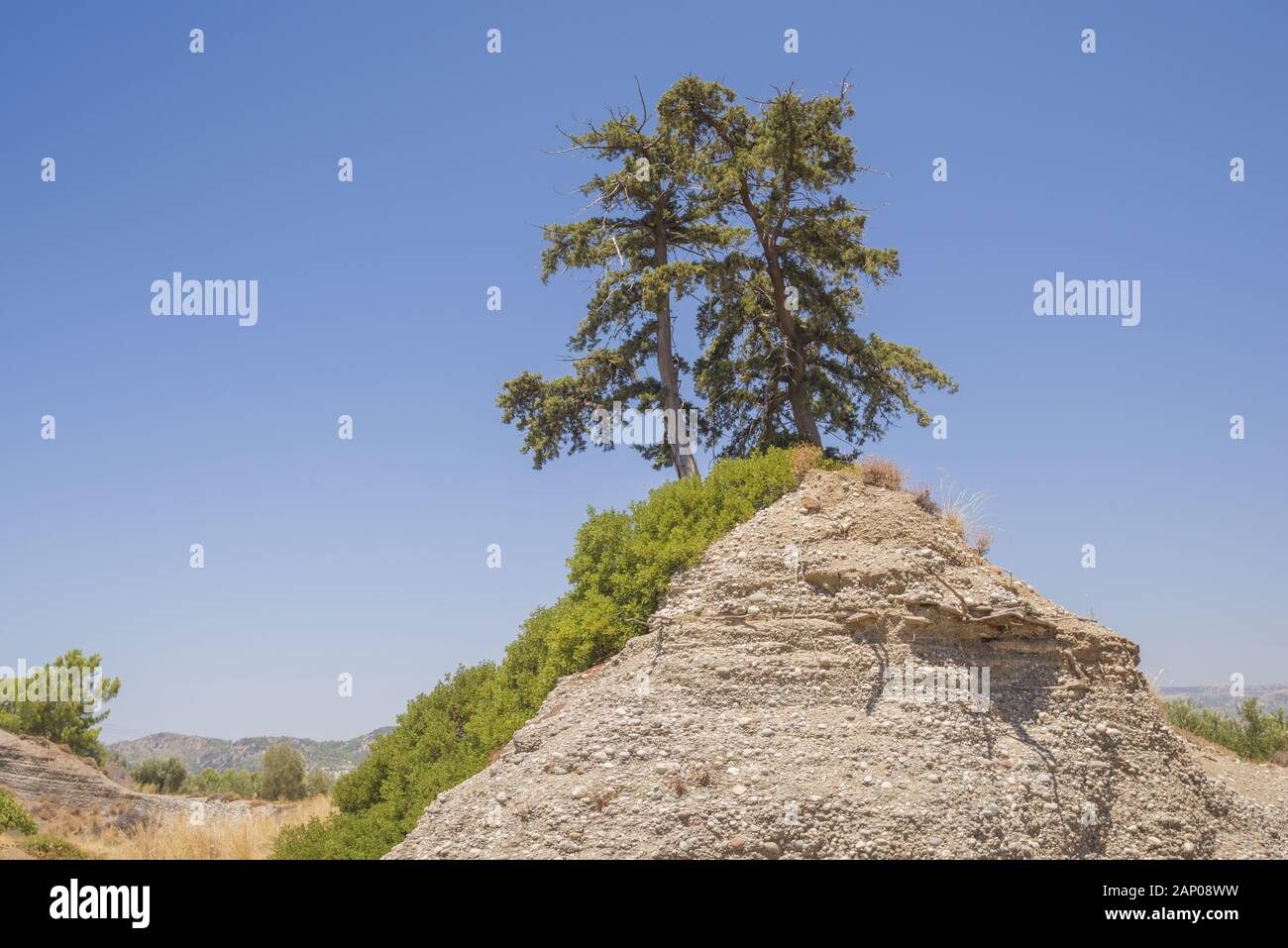 Lonely tree sur une colline sur fond de ciel bleu, Rhodes, Grèce Banque D'Images