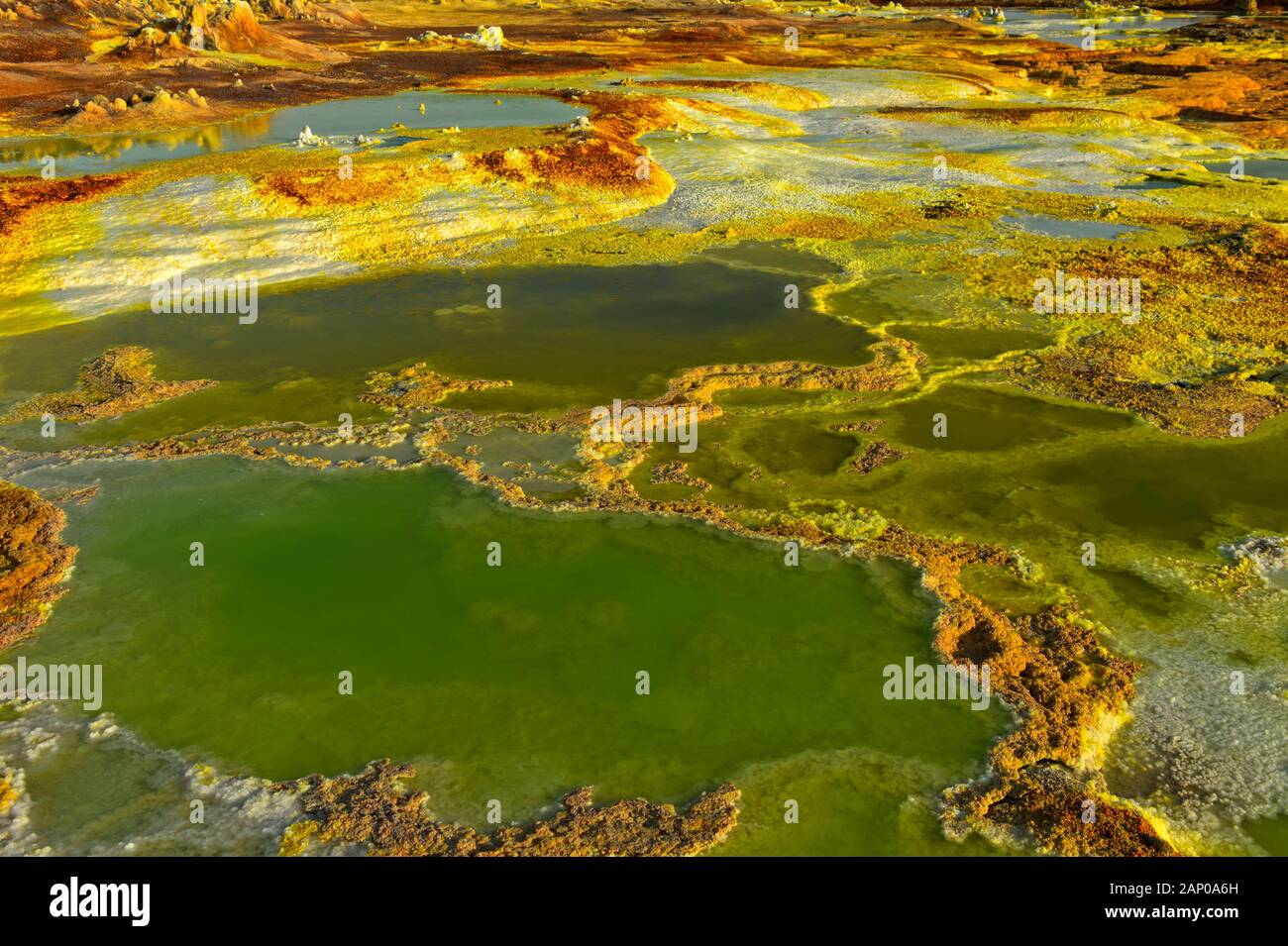 Saumure acide sulfurique, piscine avec les sédiments le champ géothermique de la dépression Danakil, Dallol, Triangle Afar, Ethiopie Banque D'Images