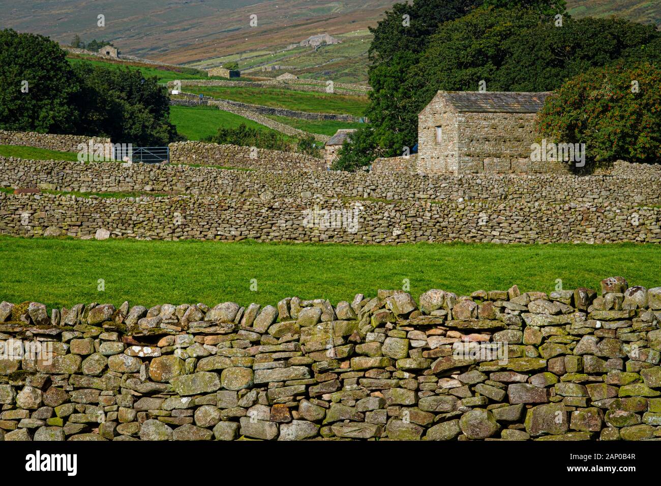 Les murs en pierre et granges sont une caractéristique des fermes dans le Yorkshire du Nord. Banque D'Images