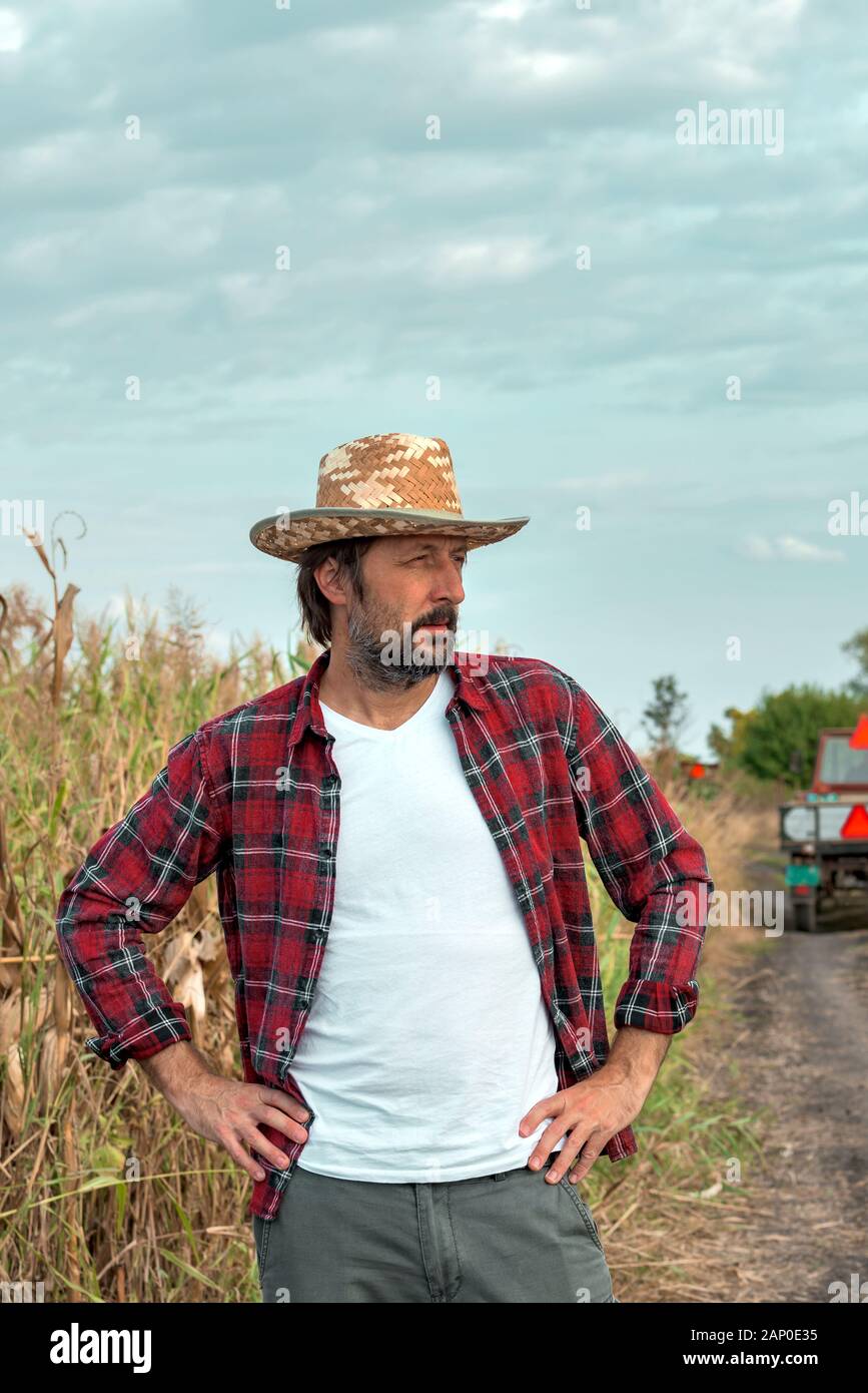 Un cultivateur de maïs inquiet regardant le champ de maïs en mauvais état avec les tracteurs et les remorques vides en arrière-plan, concept de protection de la récolte importance Banque D'Images