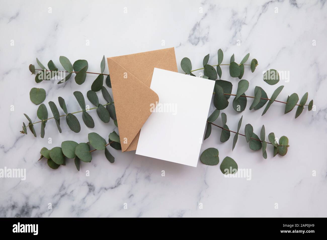 Enveloppes En Papier Vierge, Lettres D'invitation Avec Des Feuilles D' eucalyptus Et Des Fleurs De Coton