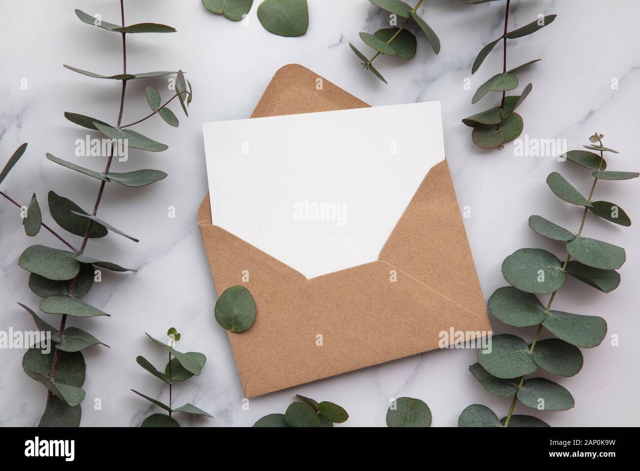 Enveloppes En Papier Vierge, Lettres D'invitation Avec Des Feuilles D' eucalyptus Et Des Fleurs De Coton