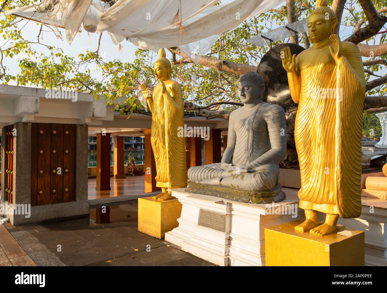 Seema Malakaya de statues dans le lac Bere, Colombo, Sri Lanka Banque D'Images