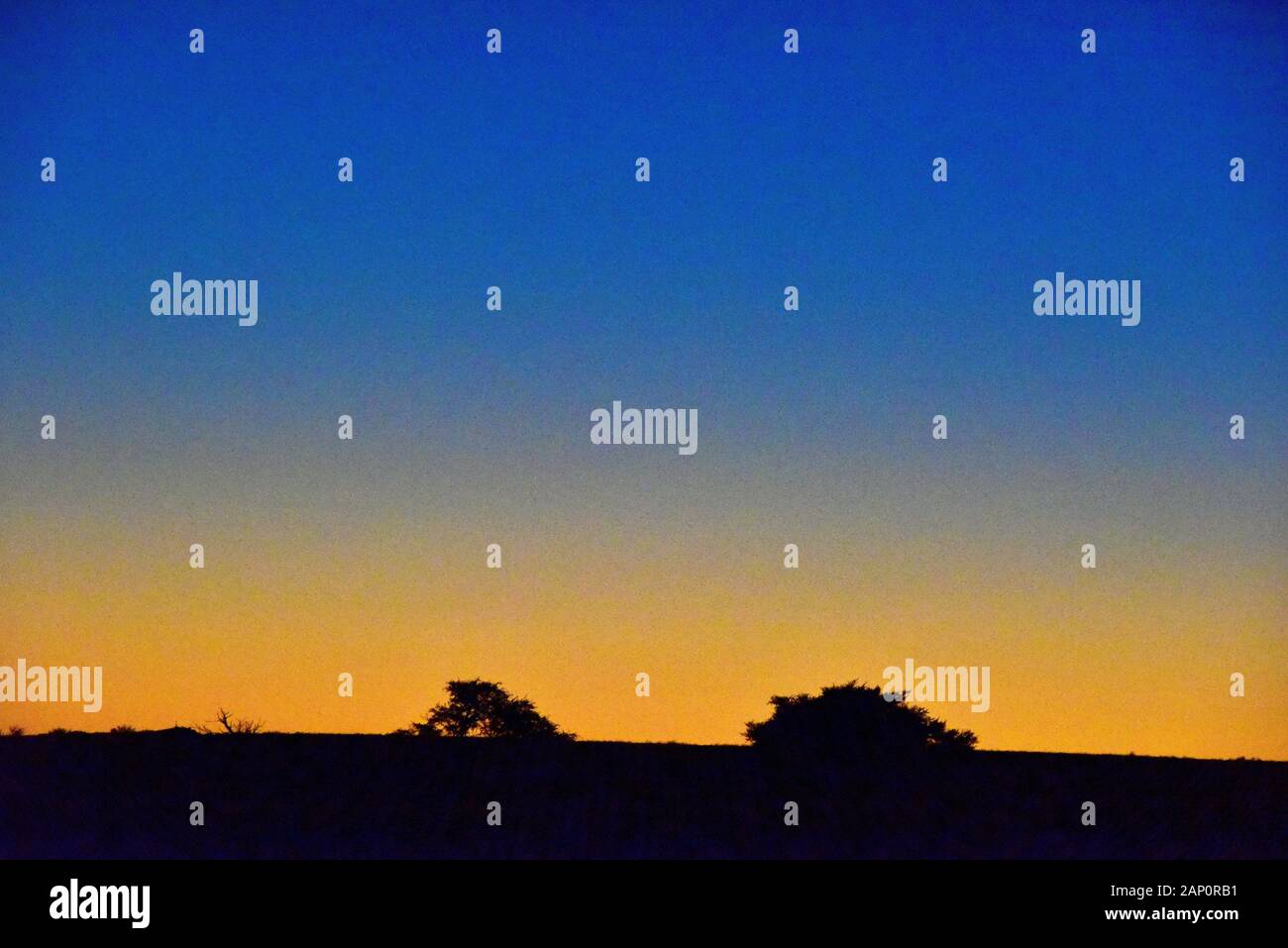 Coucher du soleil ambiance dans le Parc National de Kgalagadi, prise le 02.26.2019. Ce parc national a été créé en 1999 par fusion de l'Afrique du Sud, Kalahari-Gemsbok National Park et le parc national de Gemsbok au Botswana et est une nature transfrontalière ou réserver dans le désert du Kalahari, avec une surface d'environ 38 000 kilomètres carrés. Photo : Matthias Toedt/dpa-Zentralbild/ZB/photo | Alliance mondiale d'utilisation Banque D'Images