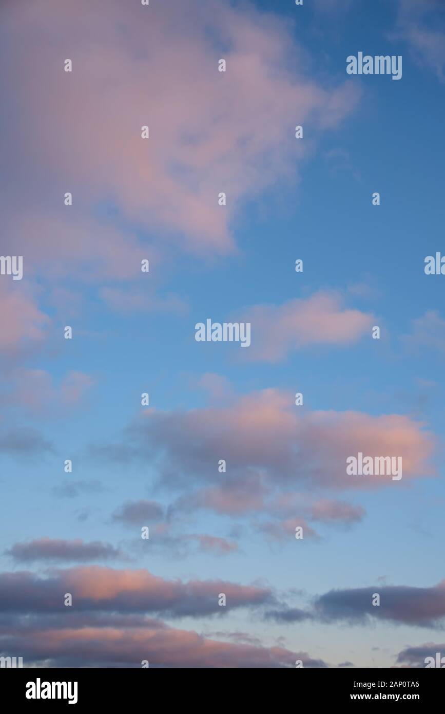 Vanille rose nuages sur un fond bleu ciel de coucher du soleil. Banque D'Images