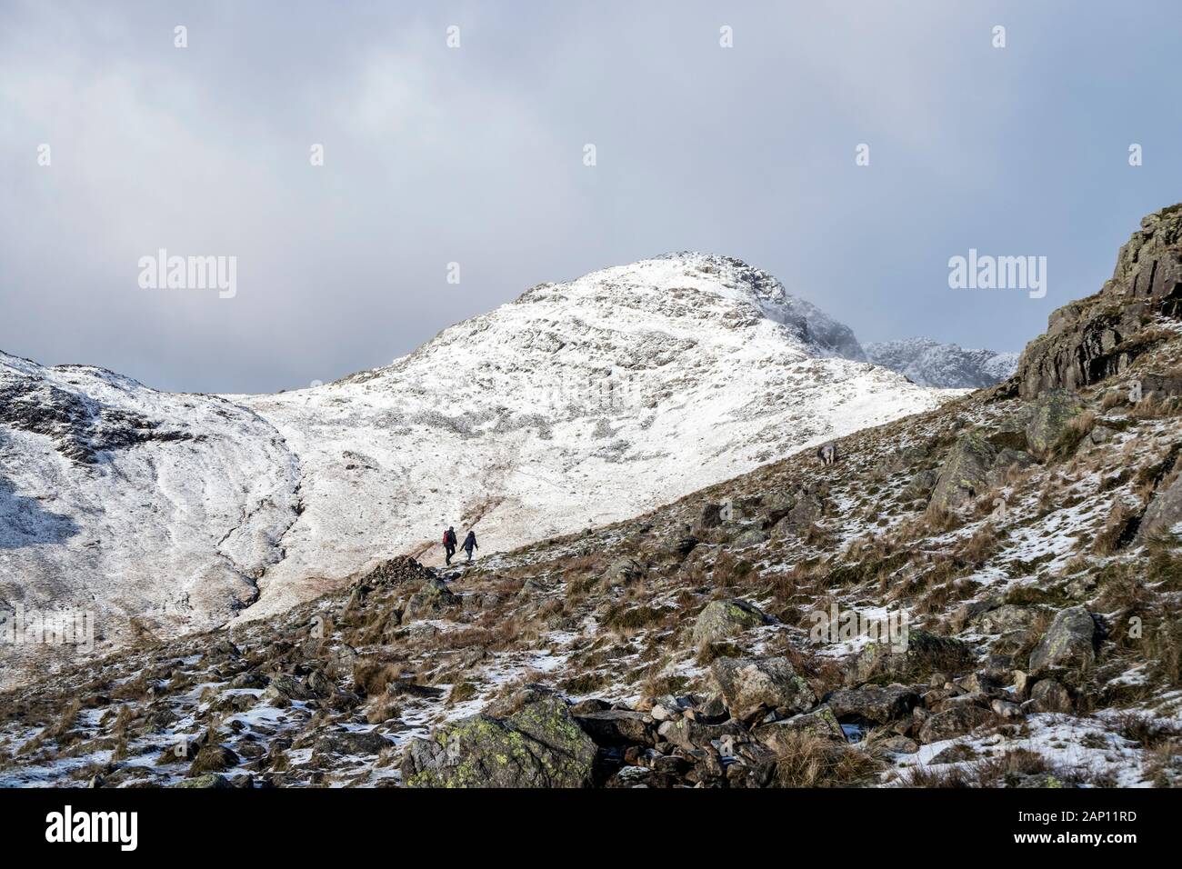 Bowfell en hiver, vu à partir de pierres blanches, Lake District, Cumbria, Royaume-Uni Banque D'Images