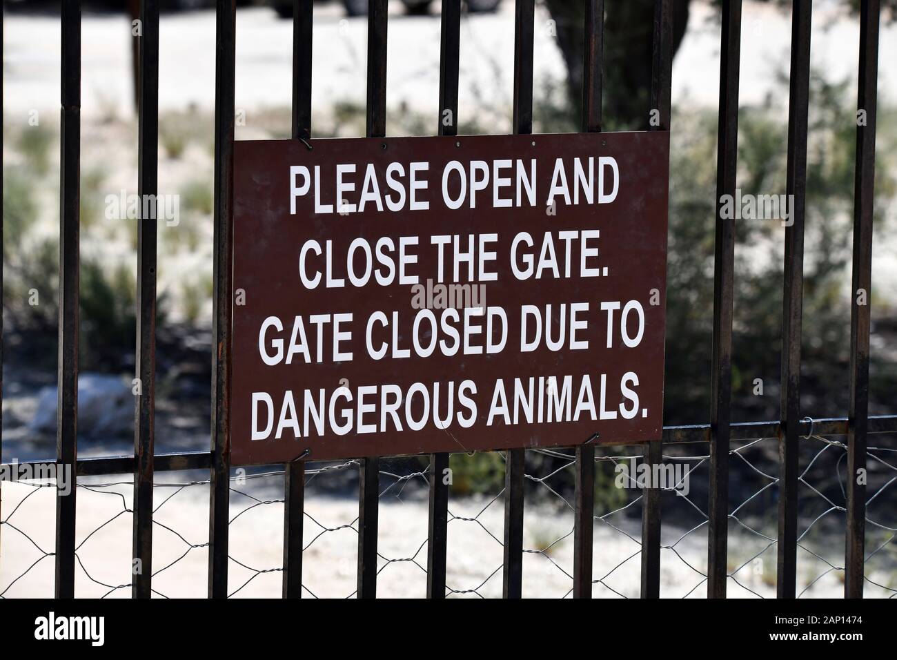 Panneau d'avertissement à l'entrée du parc Kgalagadi Tranfrontier Parc National, qui est utilisé pour signaler l'attention en refermant de l'objectif en raison de la présence d'animaux sauvages libre, prise le 24.02.2019. Le Kgalagadi Transfrontier National Park a été créé en 1999 par fusion de l'Afrique du Sud, Kalahari-Gemsbok National Park et le parc national de Gemsbok au Botswana et est une nature transfrontalière ou réserver dans le désert du Kalahari, avec une surface d'environ 38 000 kilomètres carrés. Le parc est surtout connu pour ses lions, qui peuvent souvent être trouvés là, mais aussi pour de nombreux autres animaux sauvages qui vivent ici. Phot Banque D'Images
