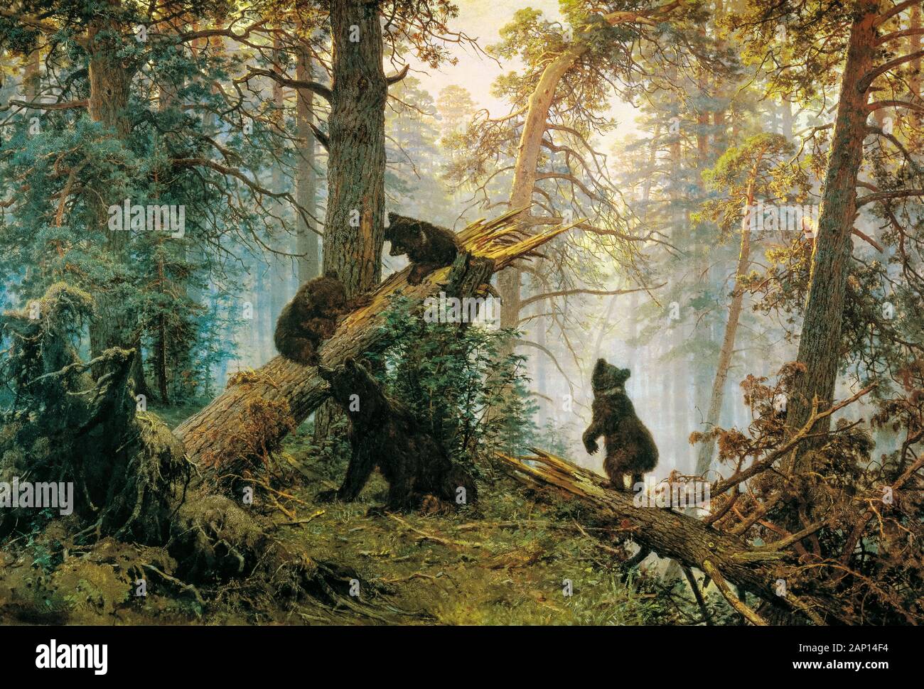 Ivan Shishkin, matin dans une forêt de pins, la peinture de paysage, 1886 Banque D'Images