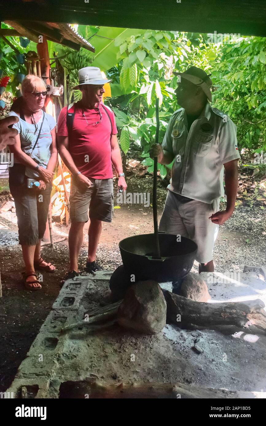 Groupe de touristes sur le café et cacao ferme, Punta Cana République Dominicaine , RepublicP Banque D'Images