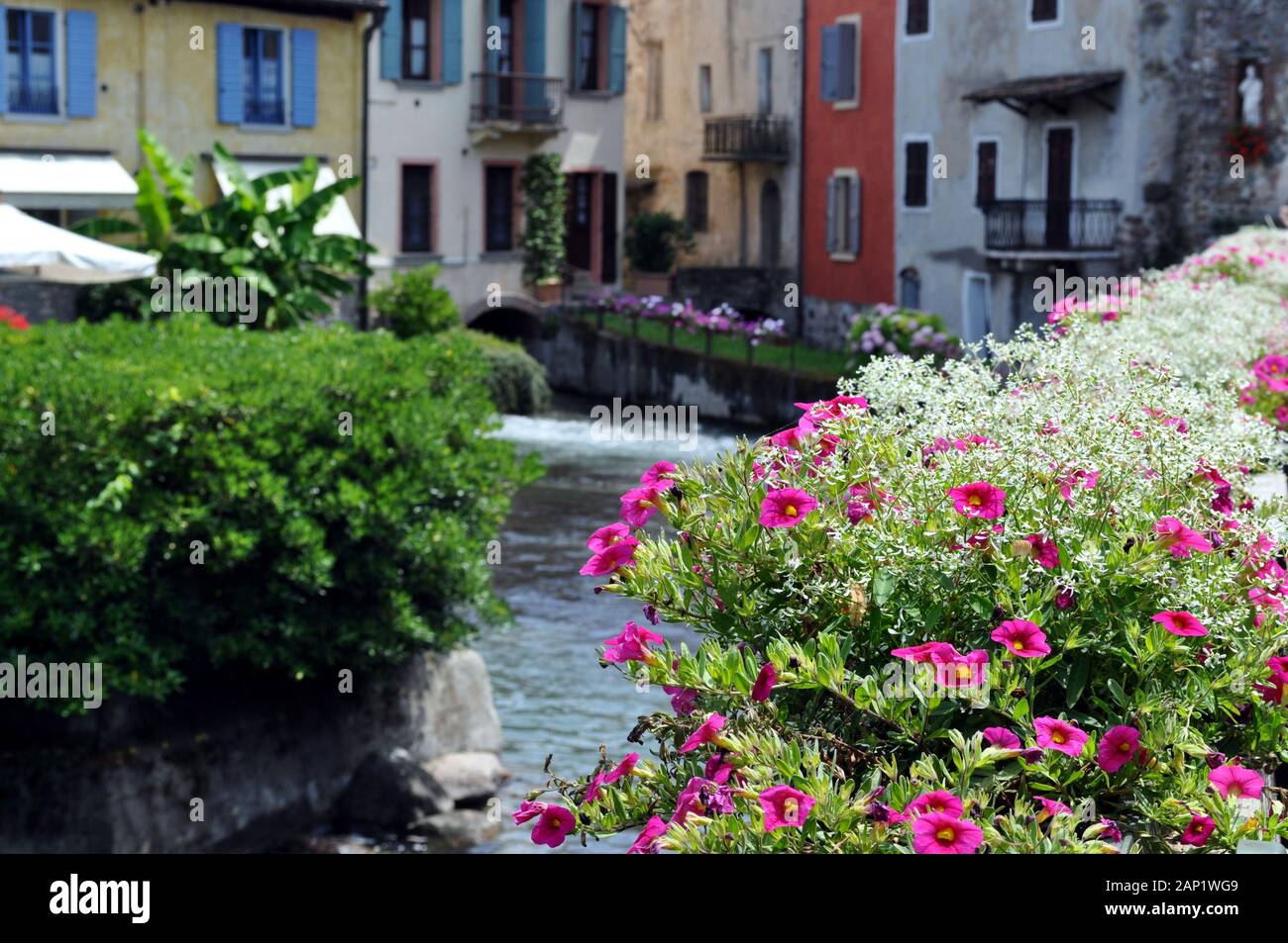 Les fleurs égaient la scène du petit village avec vue sur l'eau Banque D'Images