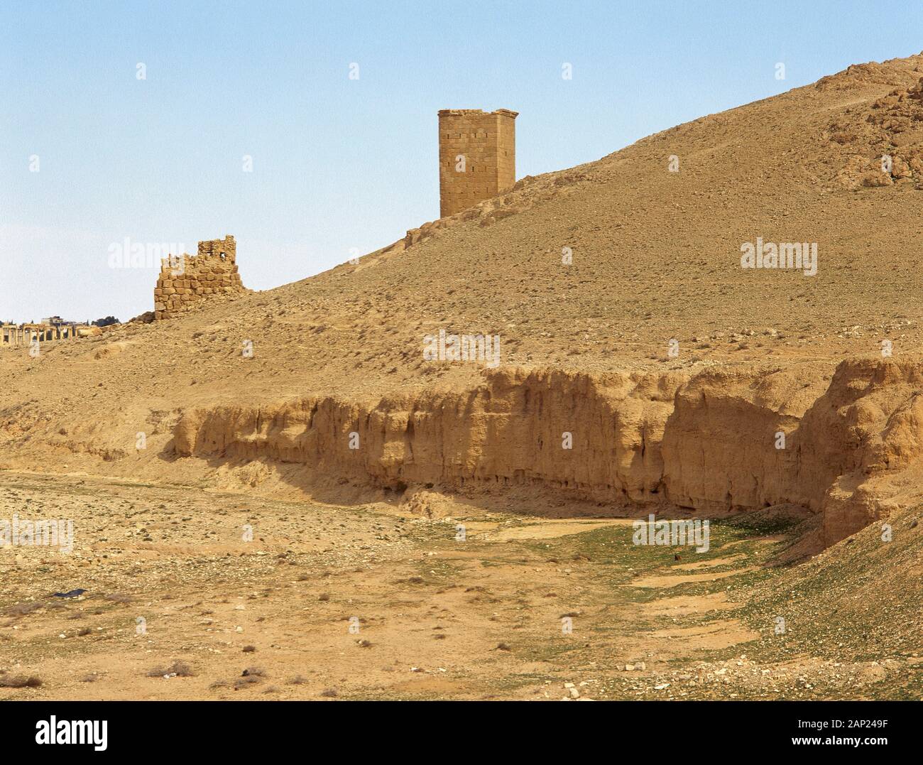 République arabe syrienne. Palmyre. La vallée des tombes. Les tours funéraires. Oasis de Tadmor. ca. 1er siècle. Époque Romaine. Photo prise avant la guerre civile syrienne. Banque D'Images