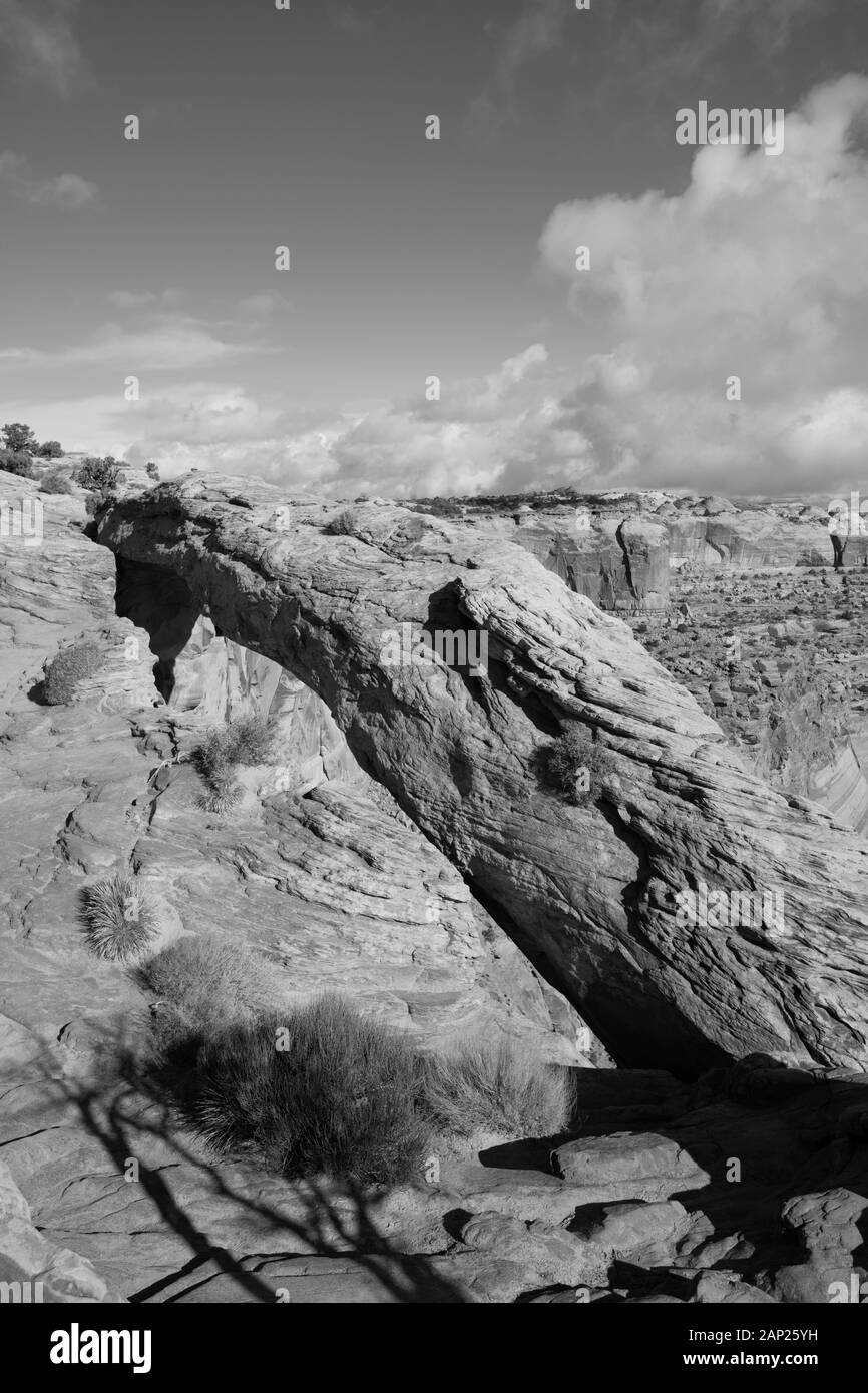 Mesa Arch, Parc National de Canyonlands, Moab, Utah, USA Banque D'Images