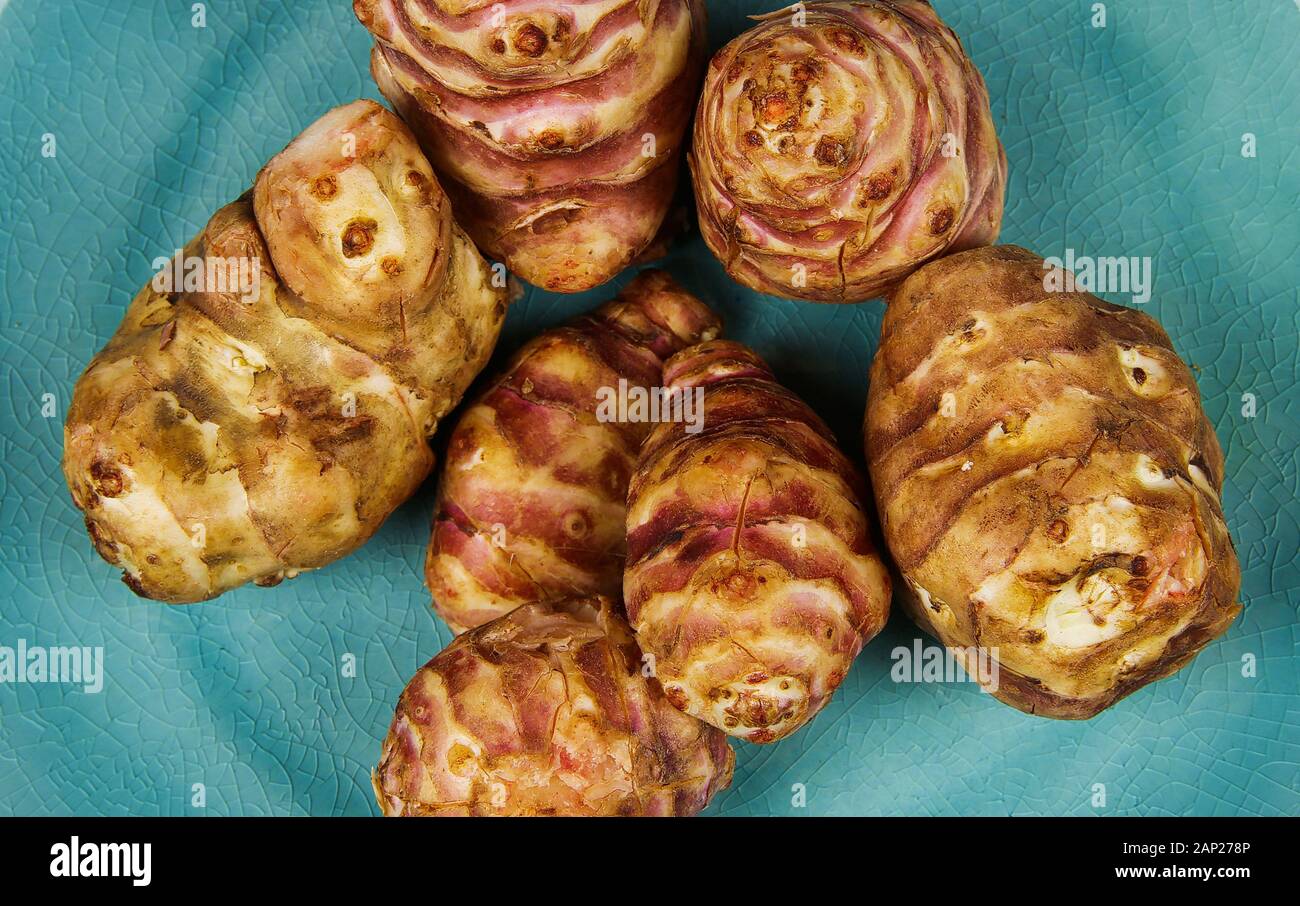 Groupe de topinambours (Topinambur) tubercules sur bleu chine plaque comme alternative à la pomme de low carb Banque D'Images