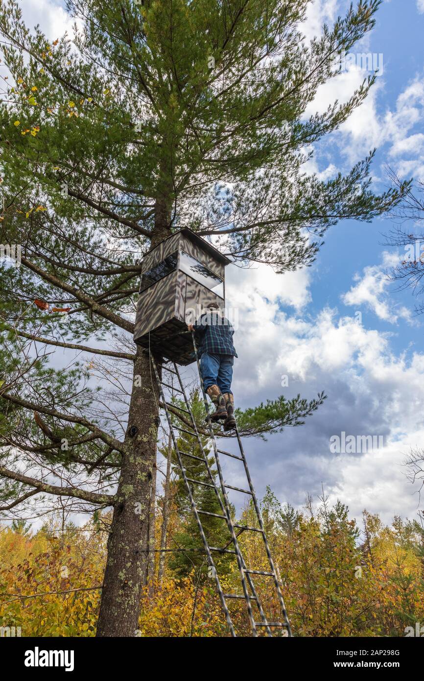 L inspection de son chasseur aveugle chasse faits maison dans le